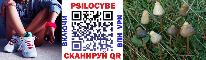 Галлюциногенные грибы мухоморы  где купить наркотик  сайты даркнета наркотические препараты  Первоуральск 