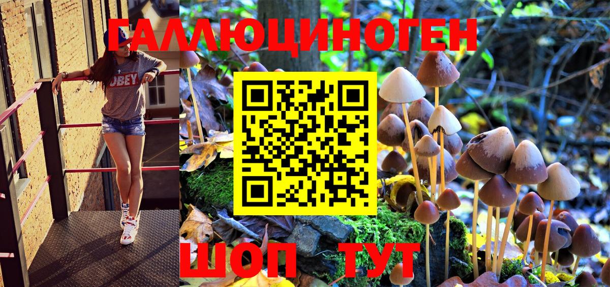 Псилоцибиновые грибы Psilocybe Первоуральск