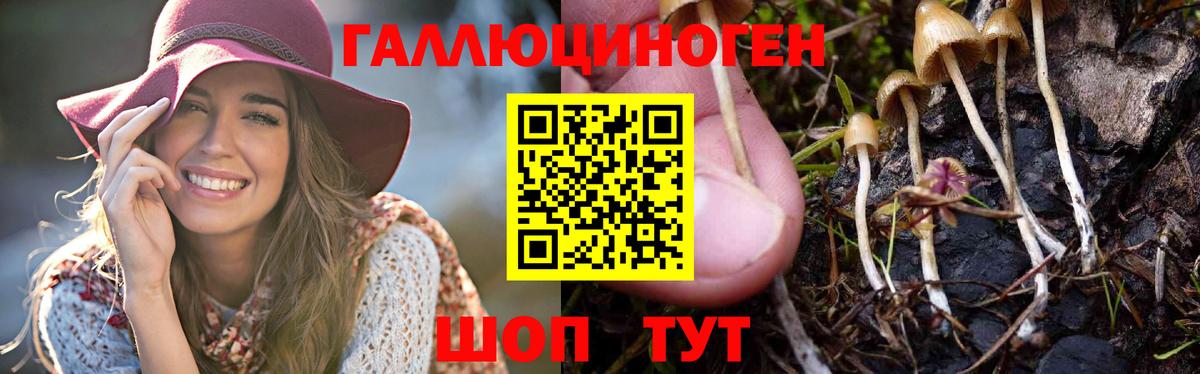 Галлюциногенные грибы мицелий  Вход с VPN  Первоуральск 